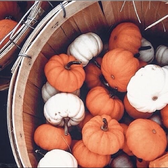 Meet your Posher, Kristen - Picture 1 of 1